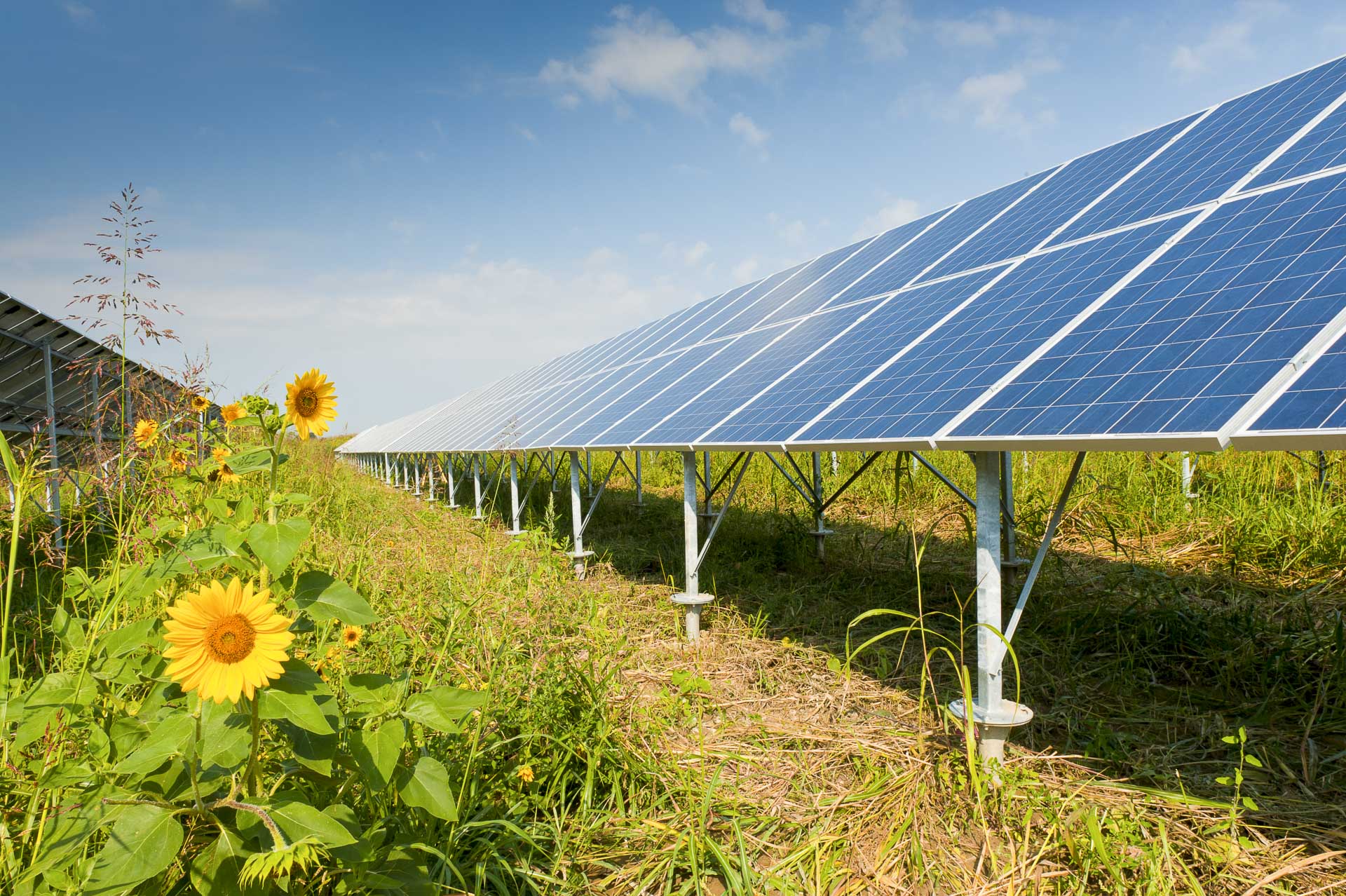 Impianto produzione energia solare fotovoltaica rinnovabile sostenibile CVA Alessandria sud