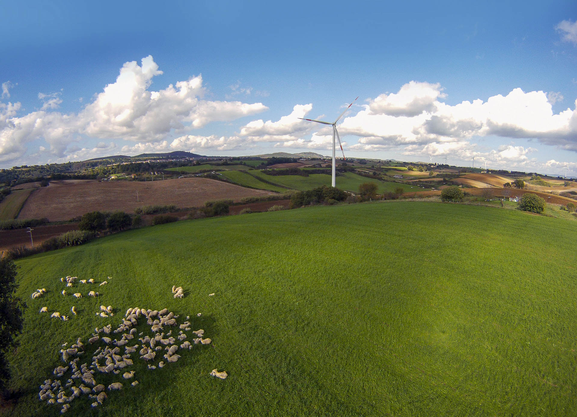 Parco produzione energia verde rinnovabile eolica Piansano