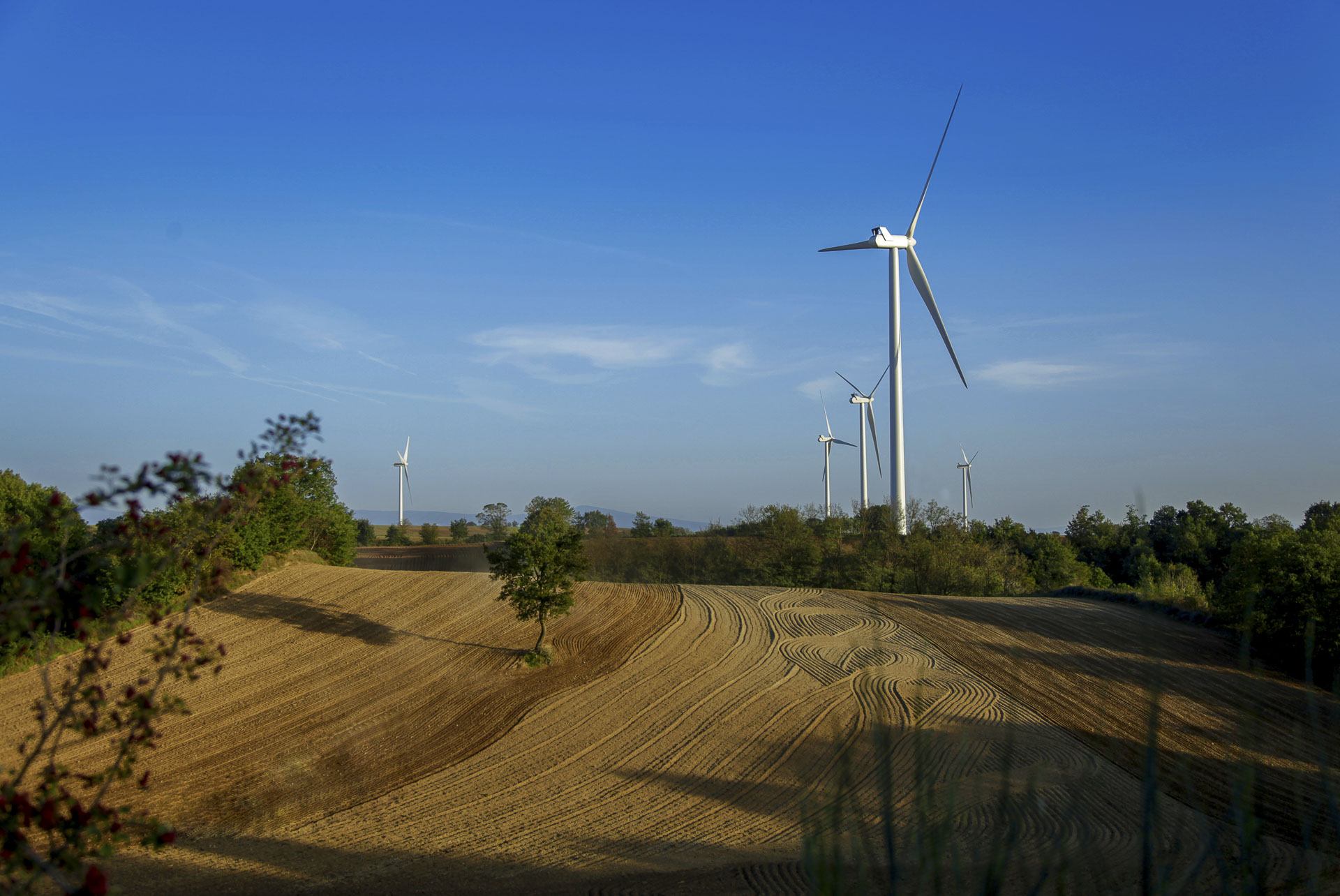 Parco produzione energia verde rinnovabile eolica Piansano