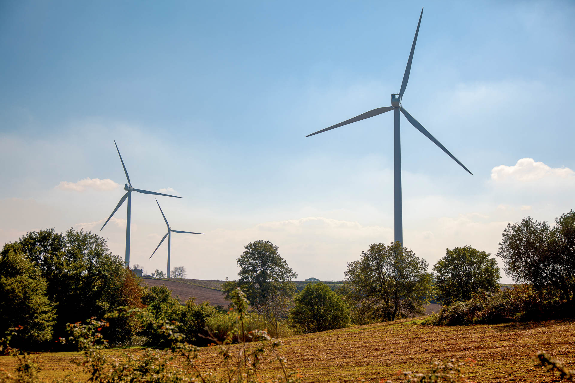 Parco produzione energia verde rinnovabile eolica Piansano